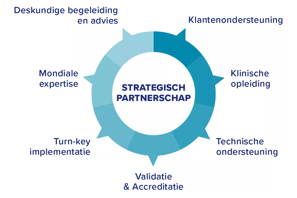 Grafische weergave van een cirkel met taartpunten die overeenkomen met kernbegrippen